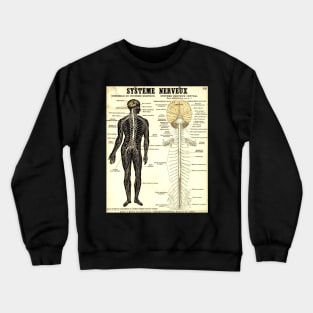 Vintage Poster of the Nervous System Crewneck Sweatshirt